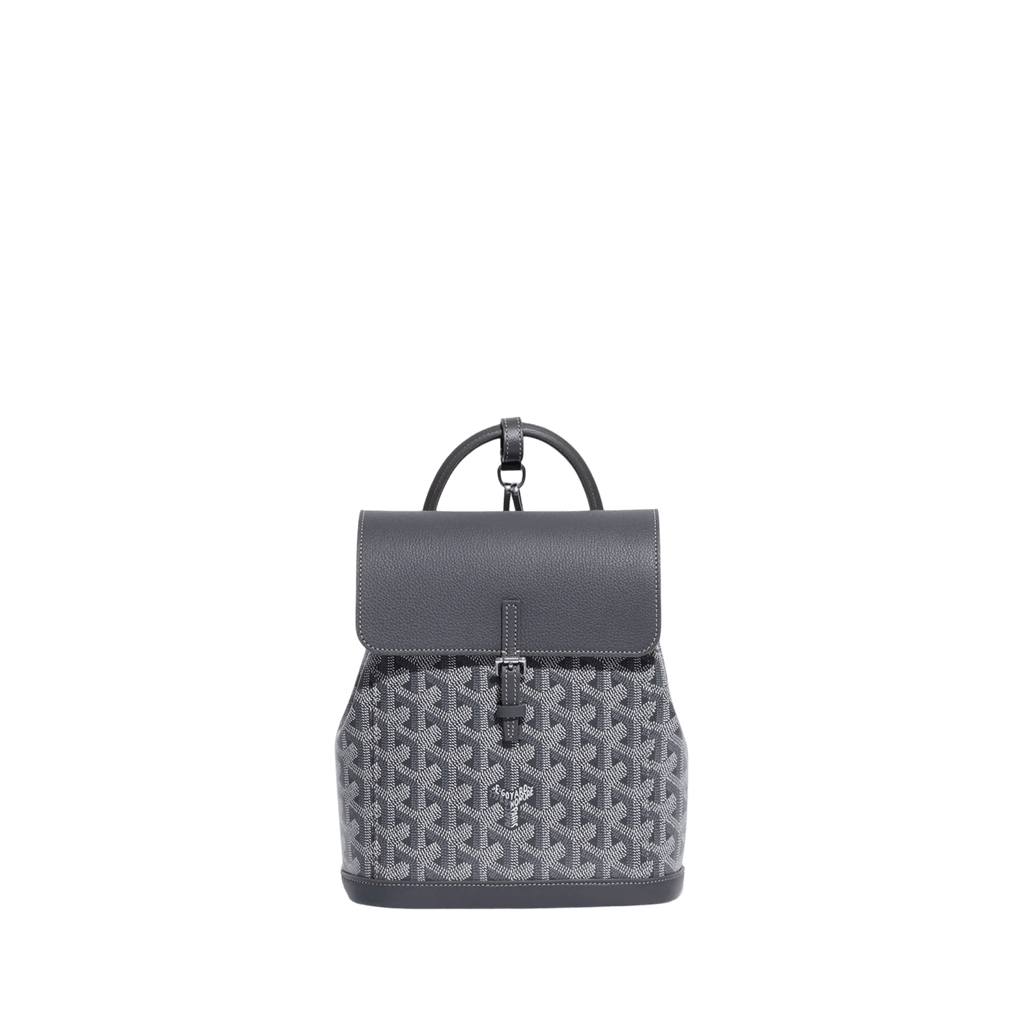Goyard Alpin Mini Backpack Grey