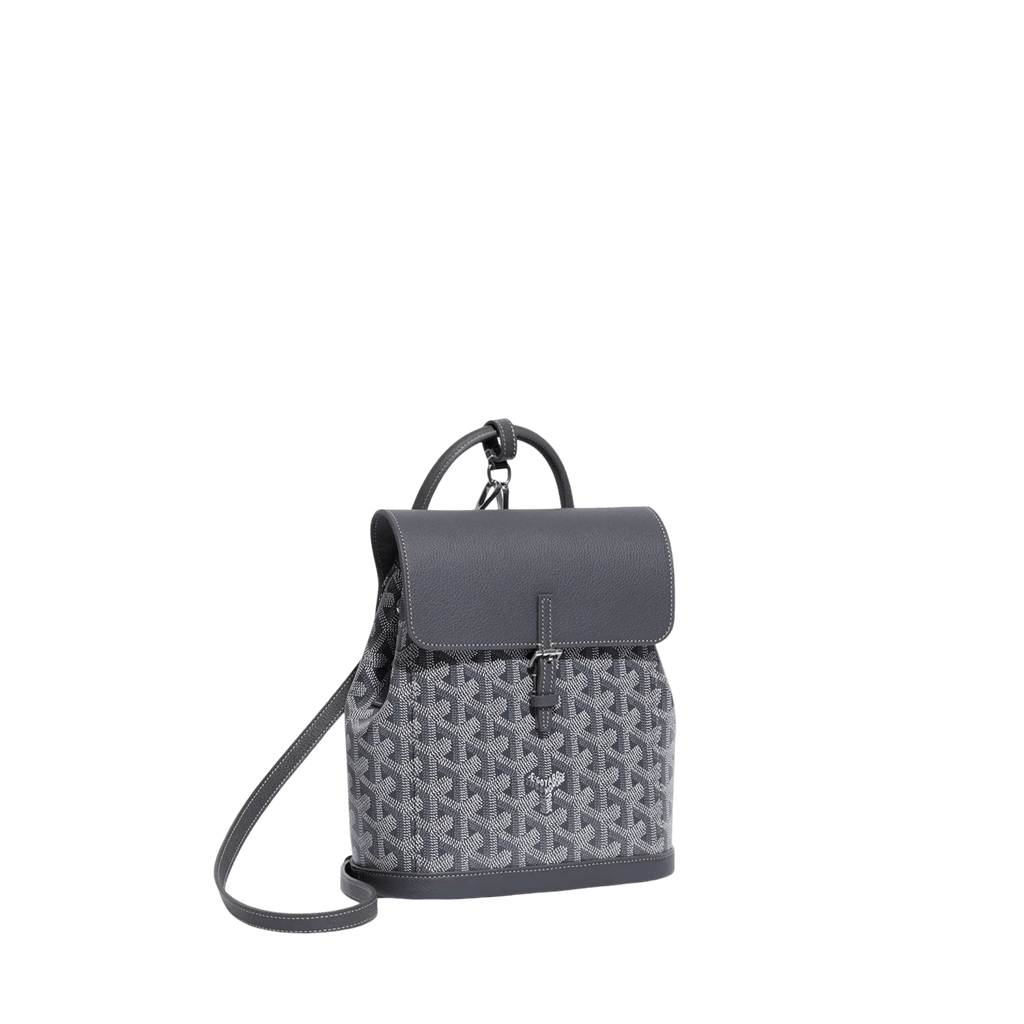 Goyard Alpin Mini Backpack Grey