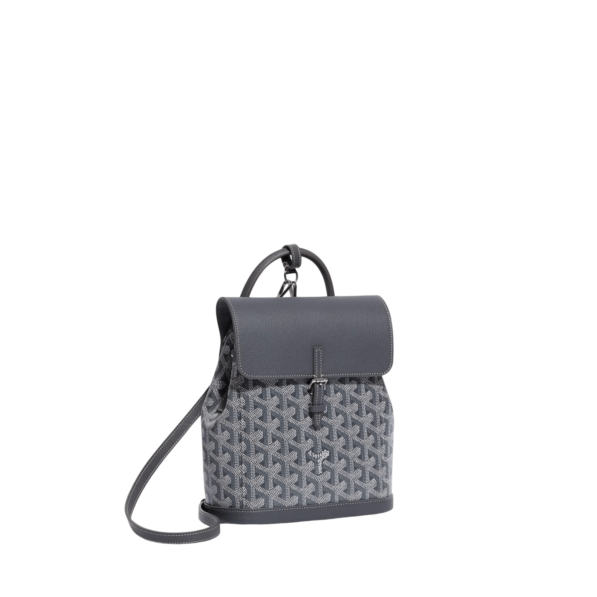 Goyard Alpin Mini Backpack Grey