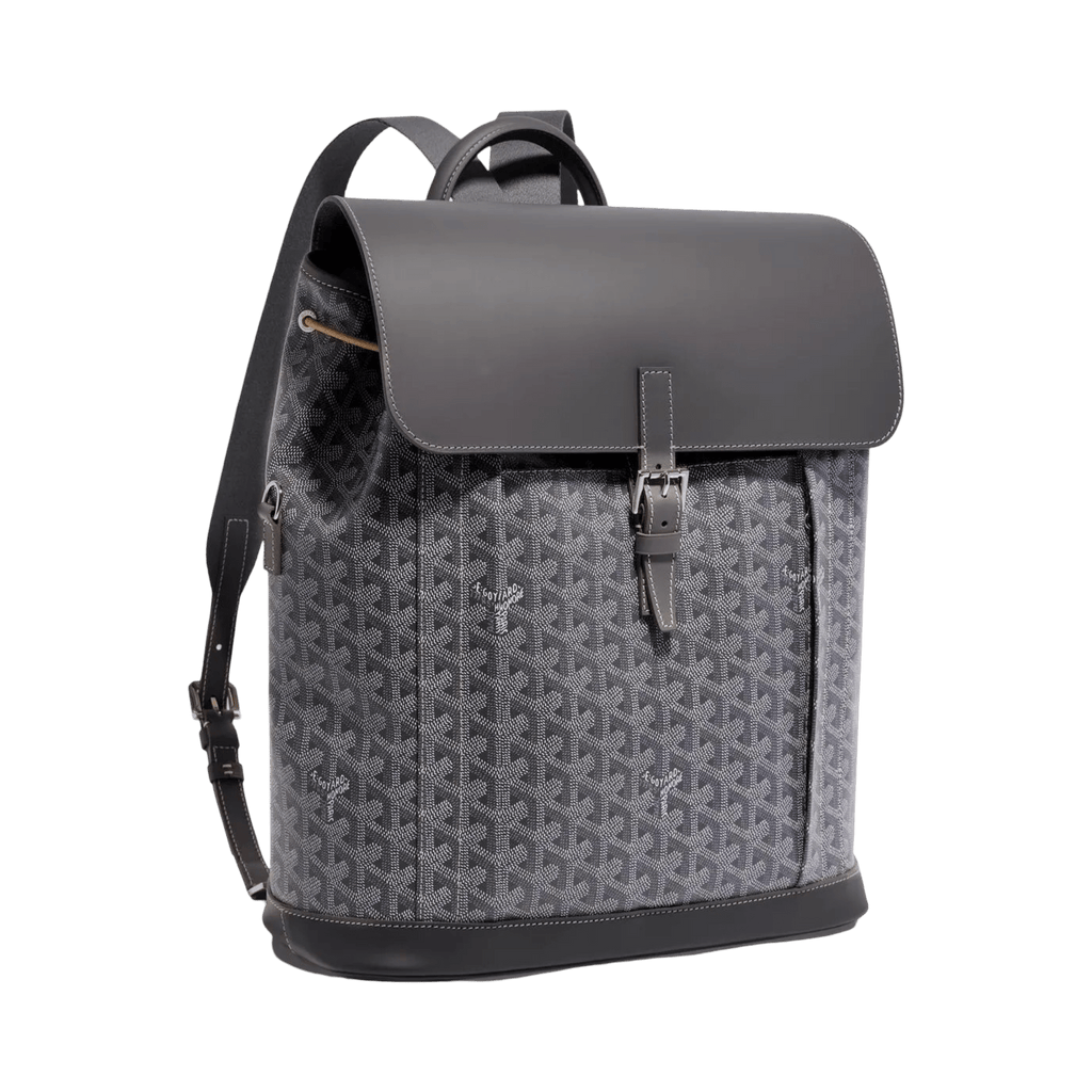 Goyard Alpin MM Backpack Grey