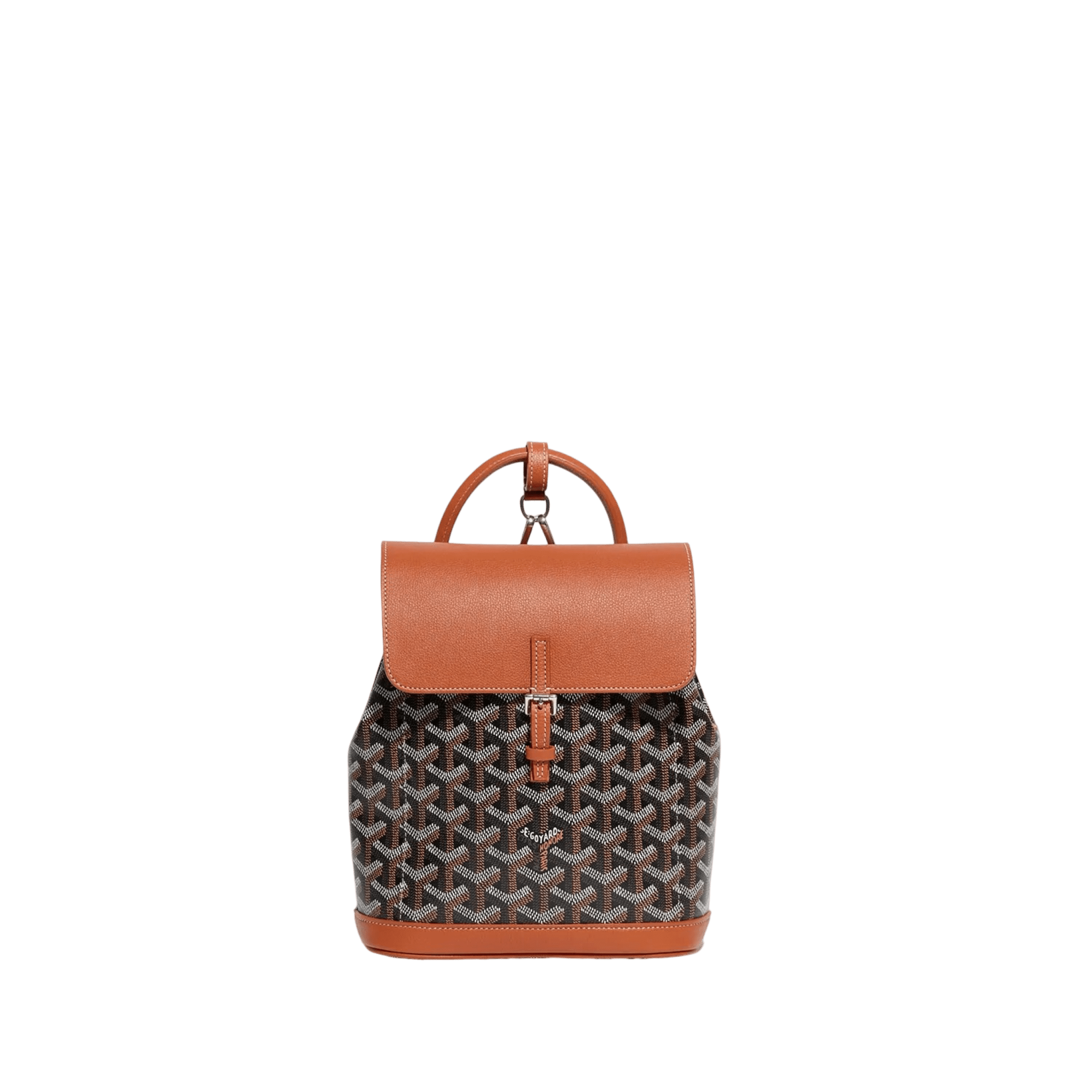 Goyard Alpin Mini Backpack Black Tan