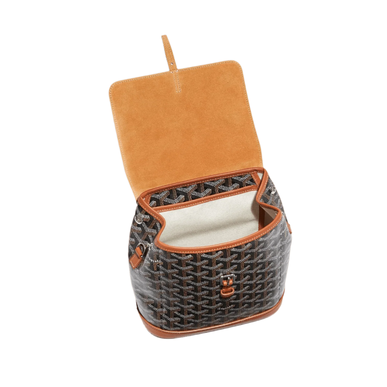 Goyard Alpin Mini Backpack Black Tan