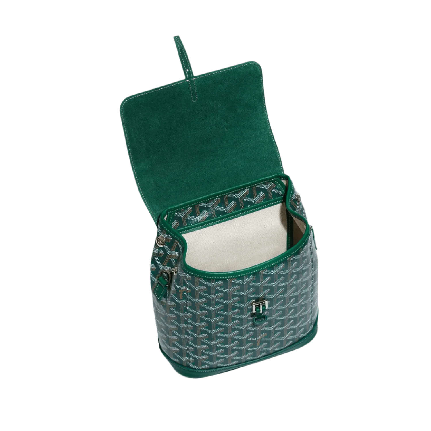 Goyard Alpin Mini Backpack Green