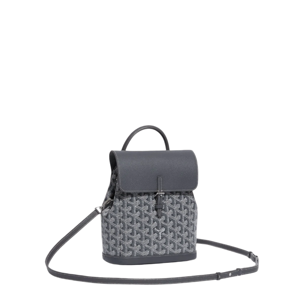 Goyard Alpin Mini Backpack Grey