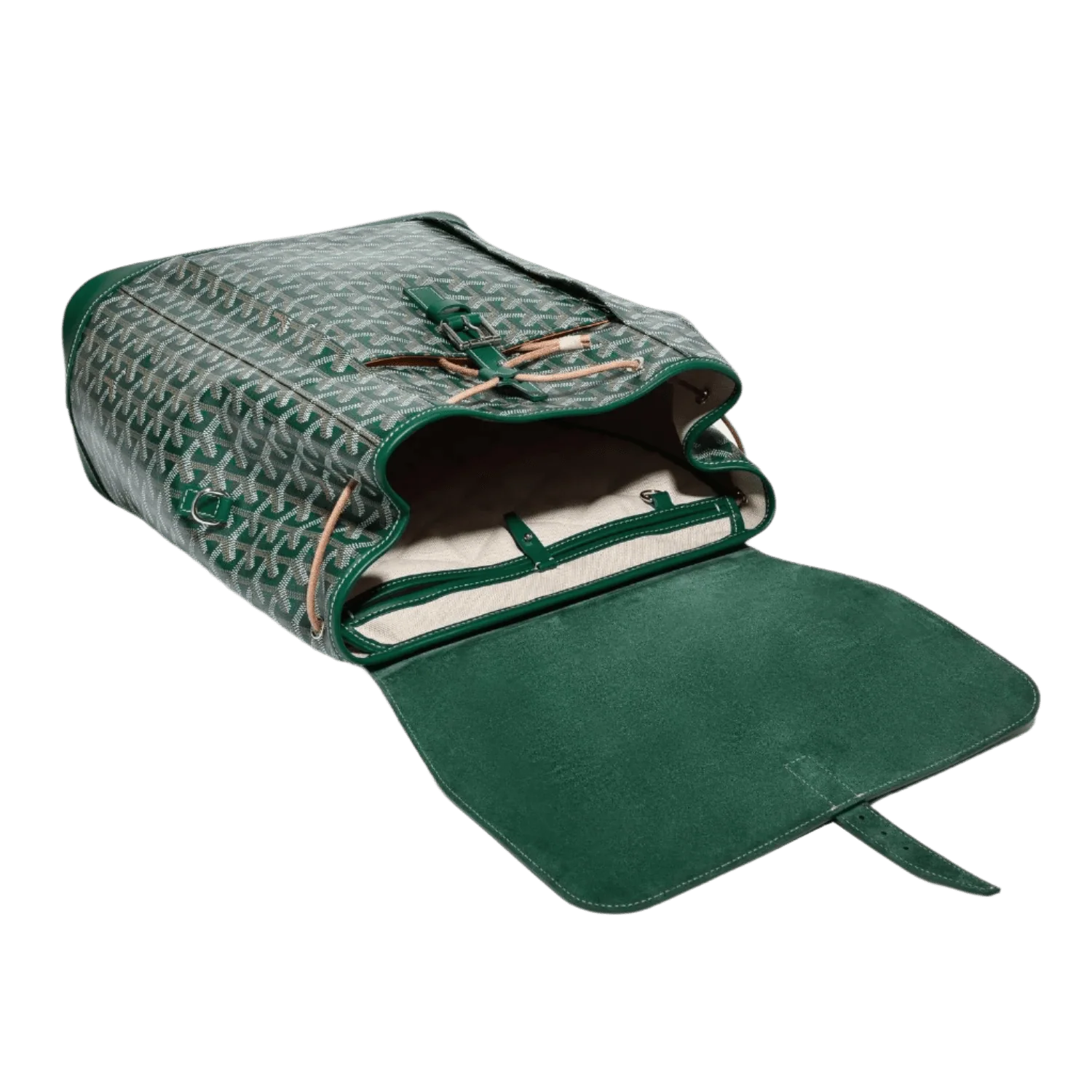 Goyard Alpin MM Backpack Green