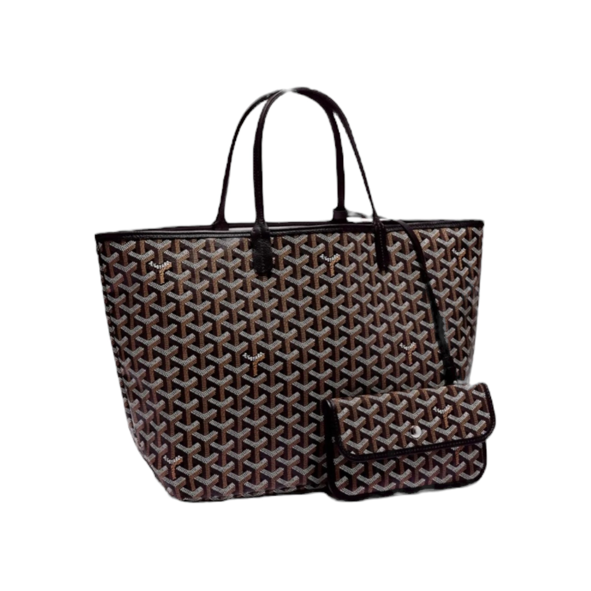 Goyard St Louis PM Black