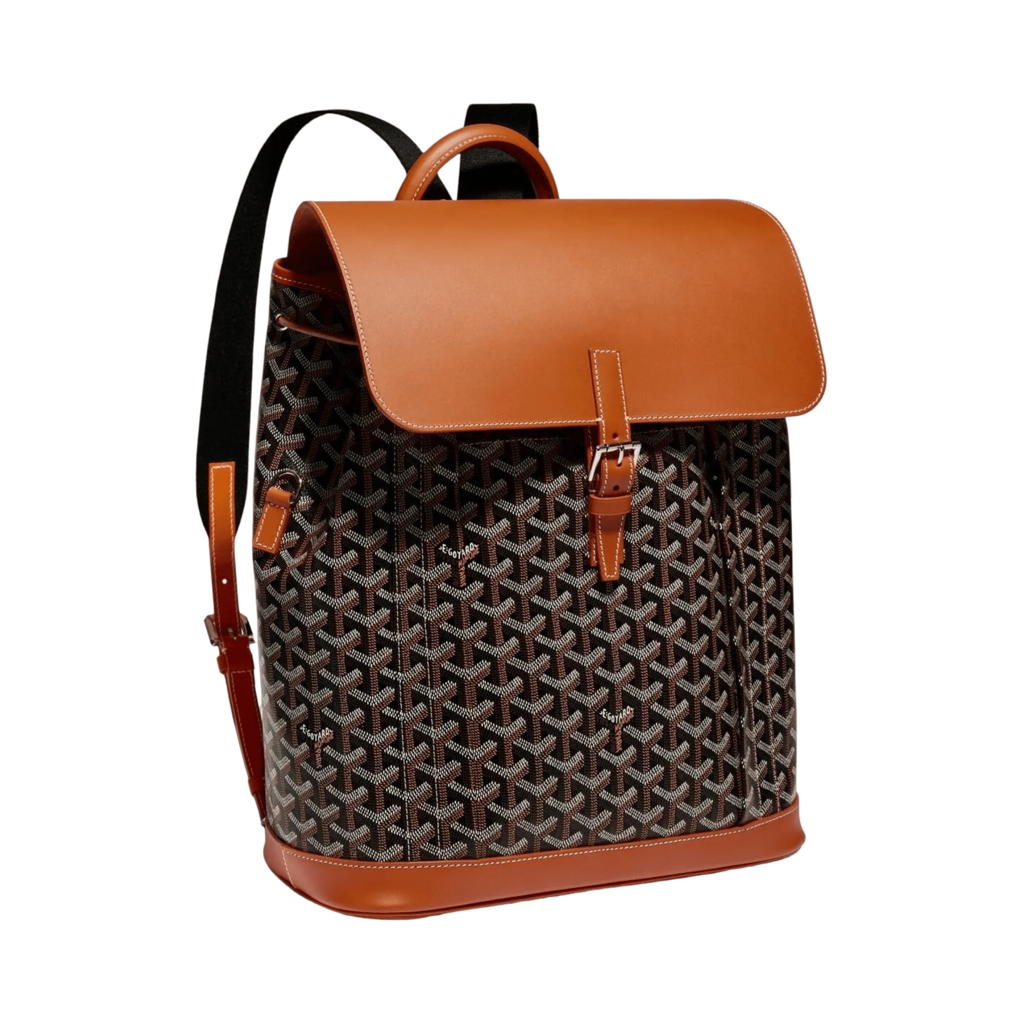 Goyard Alpin MM Backpack Black Tan
