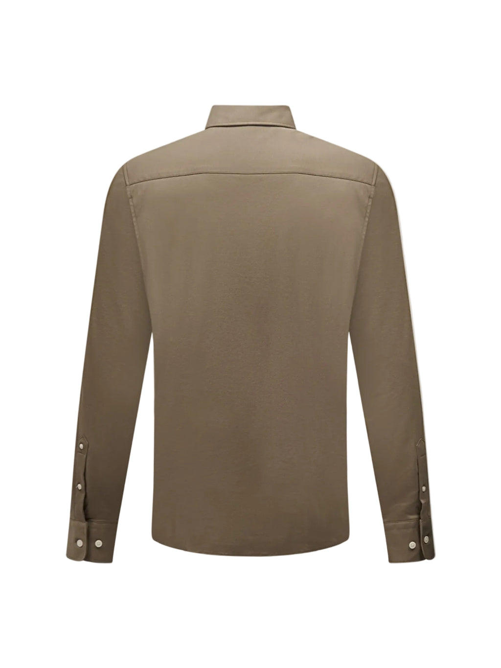 Jersey Hidden-Button Shirt in Sea Turtle