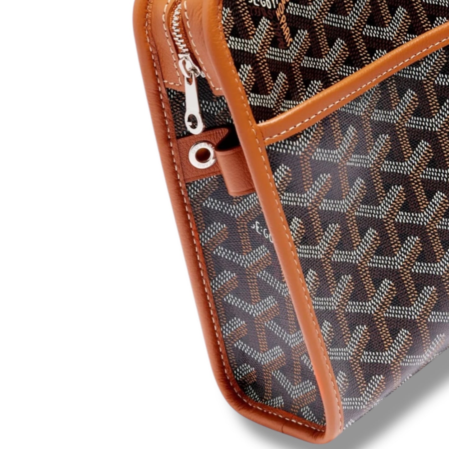 Goyard Jouvence MM Black and Tan