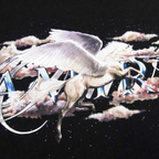 AMIRI PEGASUS TEE BLACK